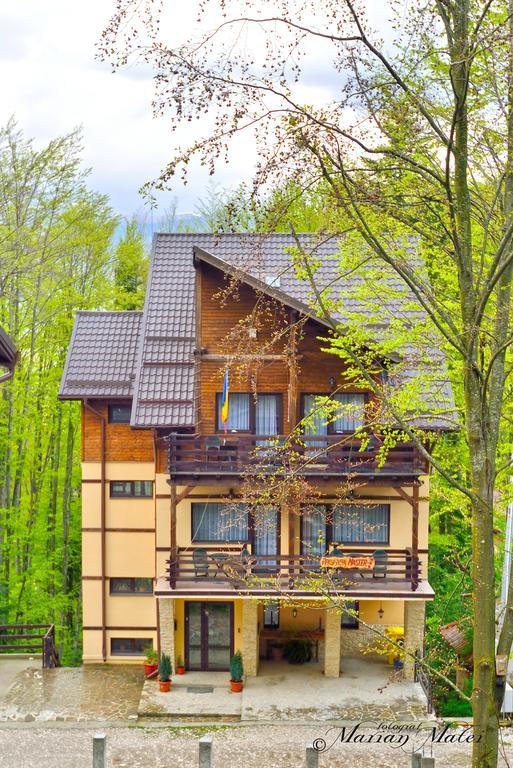 Pension Master Sinaia Zewnętrze zdjęcie